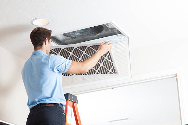 Best HVAC service technicians  in Magnolia, NC